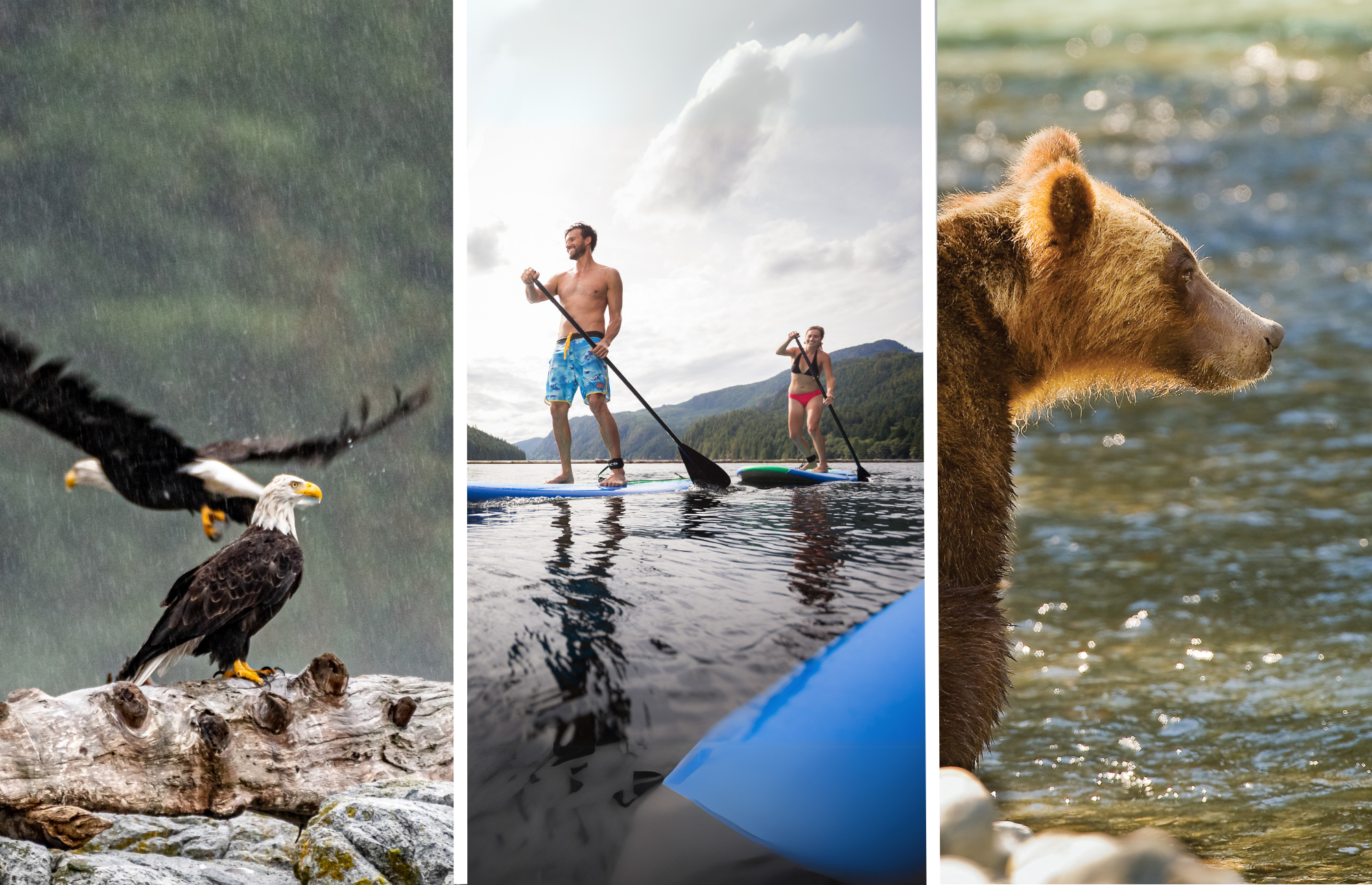 Sonora Resort - Experiences - Spring (eagle watching) , Summer (lake sports) and Fall (grizzly bear excursions)